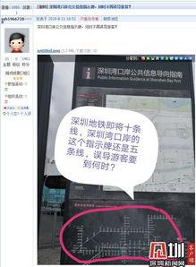 每日爆料深圳新闻网最新消息,每日爆料，聚焦深圳最新动态